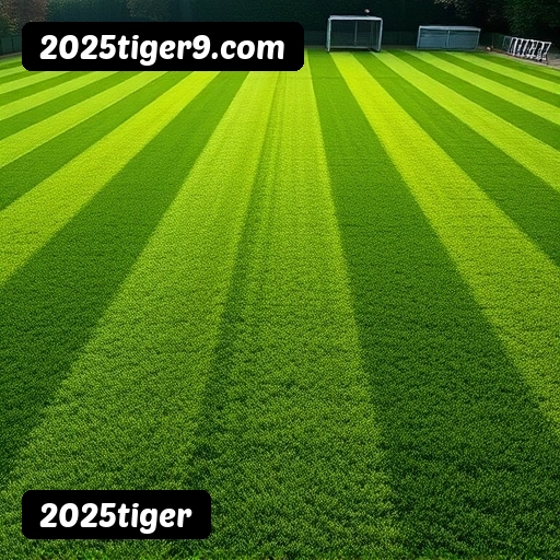 FAQ 2025tiger Brasil - Perguntas frequentes sobre bônus, PIX, RTP, APP mobile e VIP